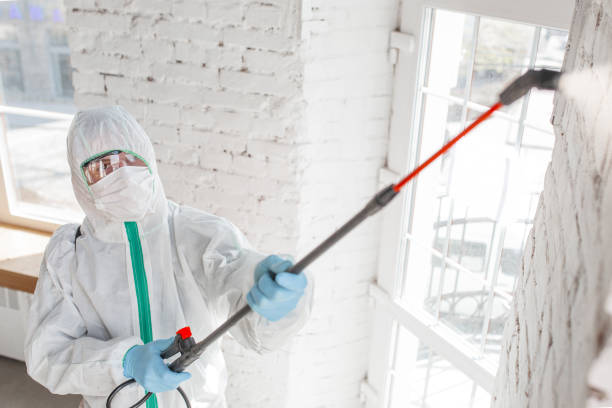Best Mold Prevention Services  in Zephyrhills South, FL