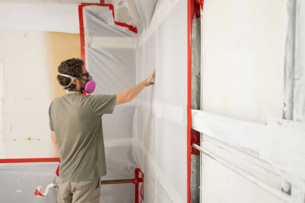 Best Forensic Mold Investigation  in Zephyrhills South, FL