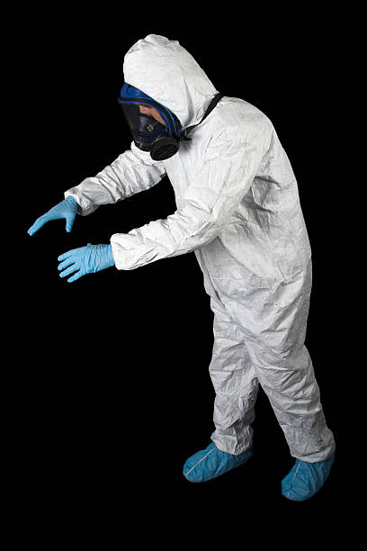 Best Mold Removal for HVAC Installations  in Zephyrhills South, FL